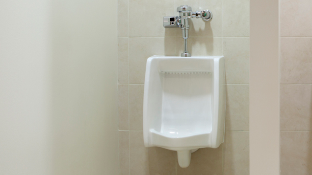 Illustration for article titled How The Standing Toilet Is Revolutionizing Workplace Health